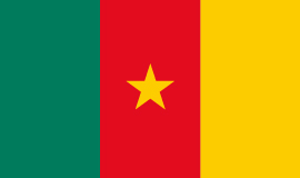 Cameroon country flag